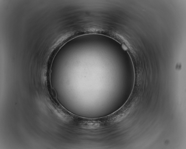 X0000100190443200805301251