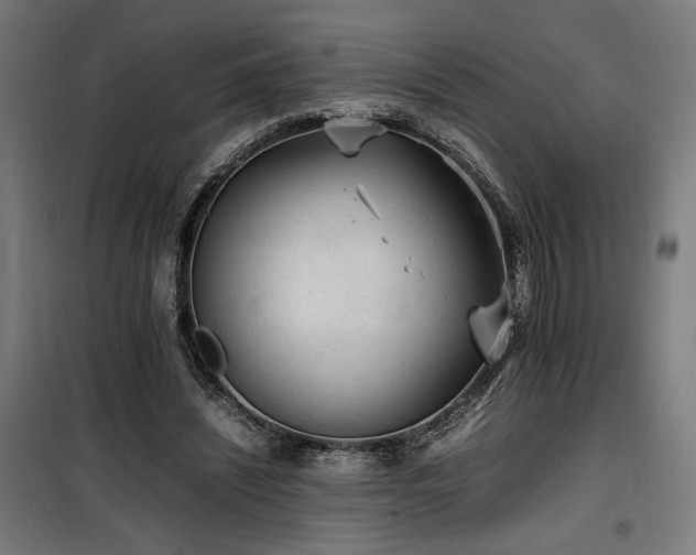 X0000100190444200805301251