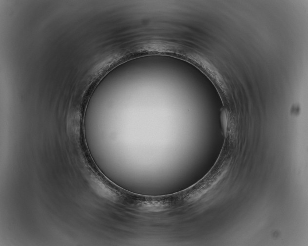X0000100190445200805301251