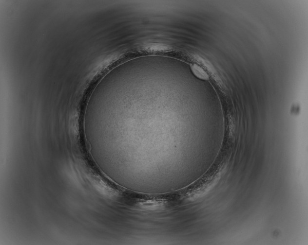 X0000100190447200805301251
