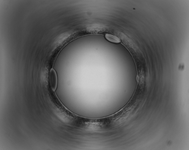 X0000100190448200805301251