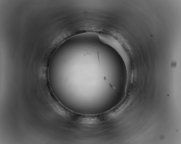 X0000100190449200805301251