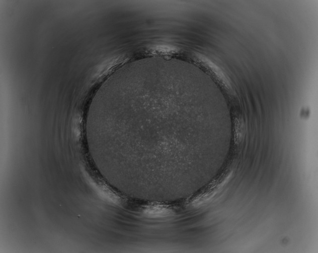 X0000100190451200805301251