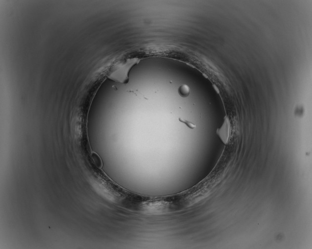 X0000100190452200805301251