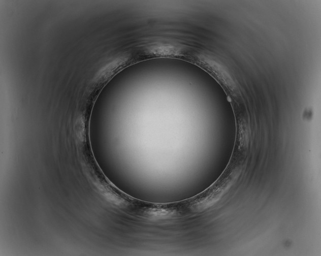 X0000100190453200805301251