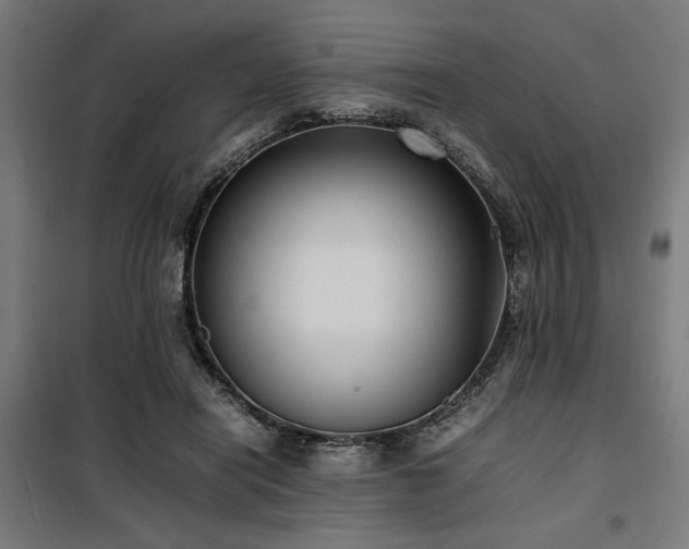 X0000100190454200805301251