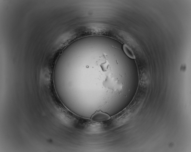 X0000100190456200805301251