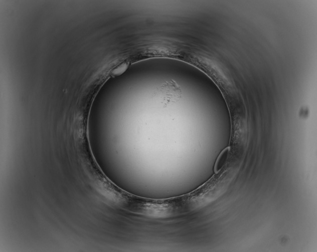 X0000100190457200805301251