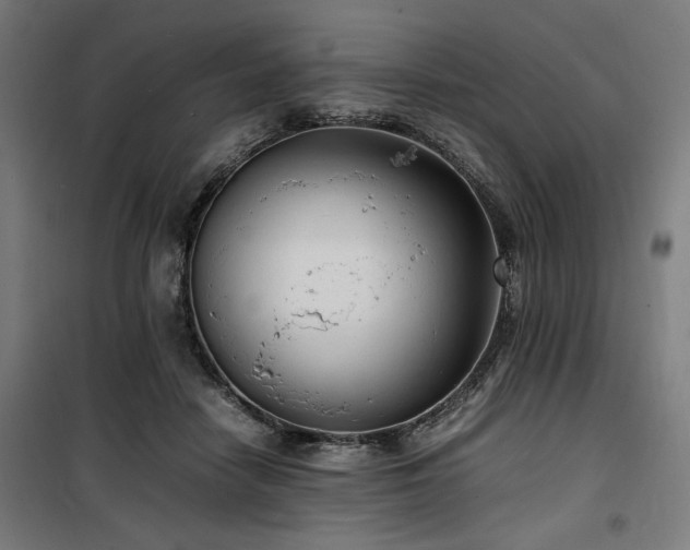 X0000100190458200805301251