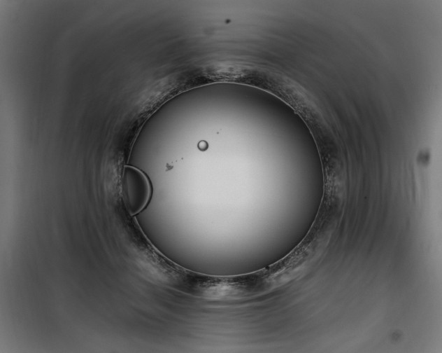 X0000100190460200805301251