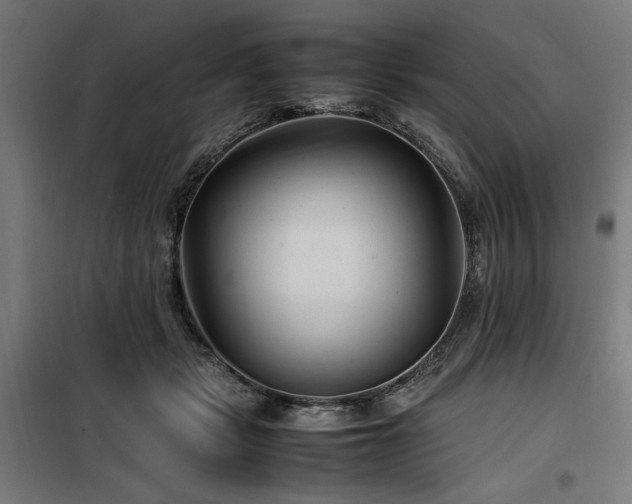 X0000100190461200805301251