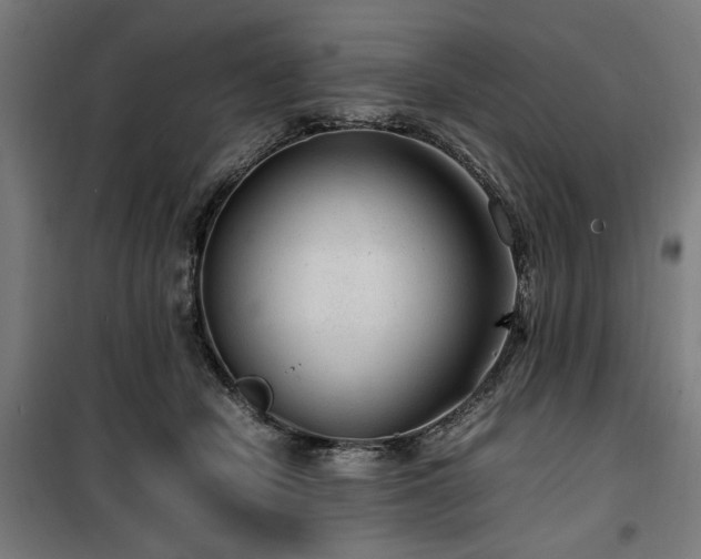 X0000100190462200805301251