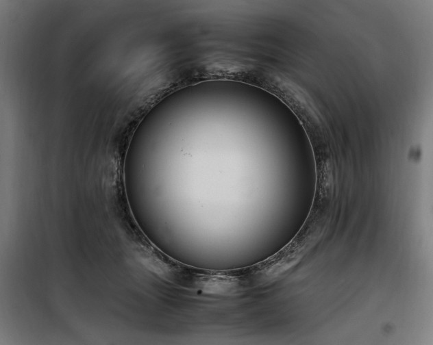 X0000100190463200805301251