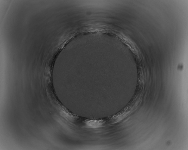 X0000100190465200805301251