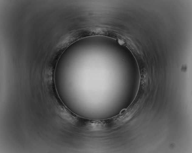 X0000100190466200805301251