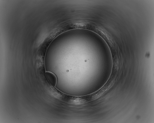 X0000100190467200805301251