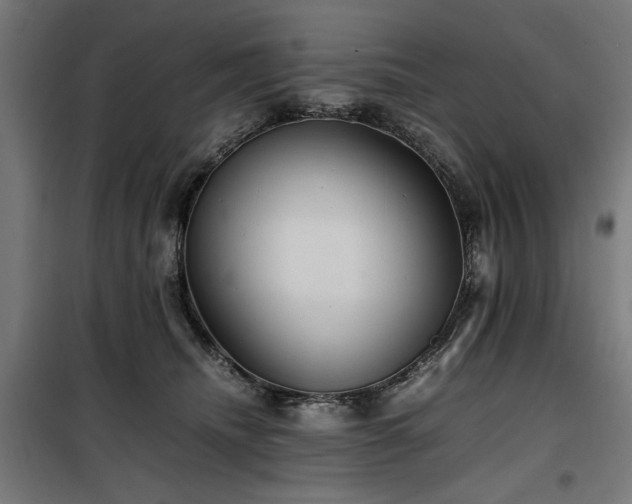 X0000100190468200805301251