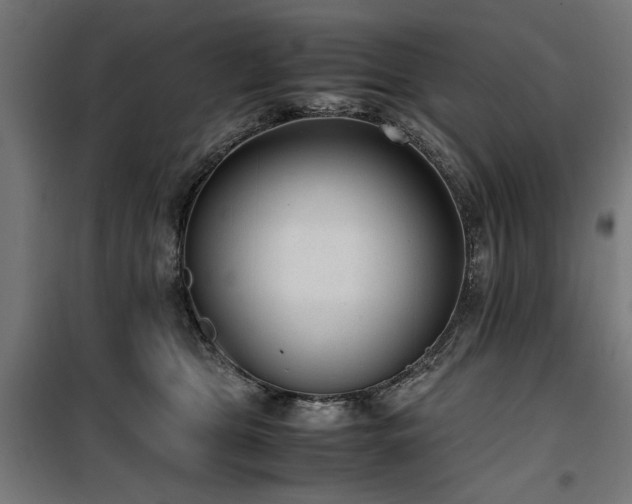 X0000100190469200805301251