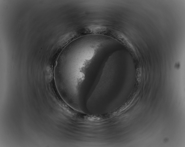 X0000100190471200805301251