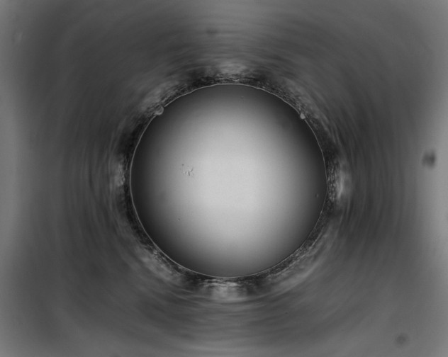 X0000100190472200805301251