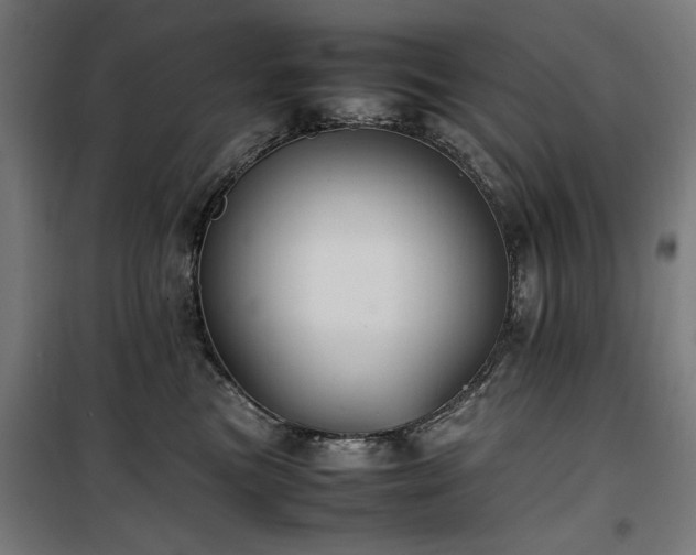 X0000100190473200805301251