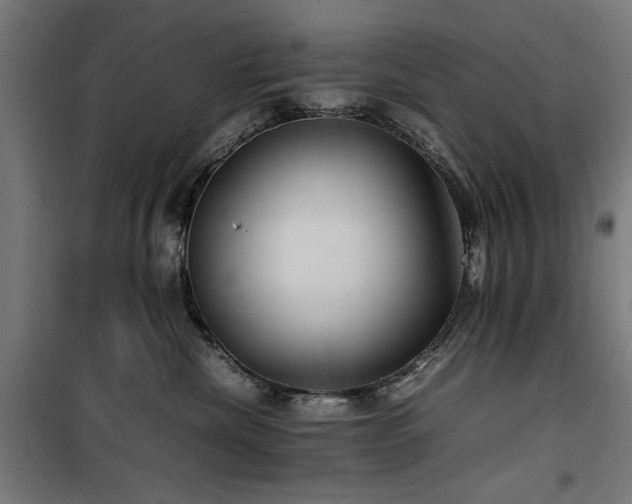 X0000100190476200805301251