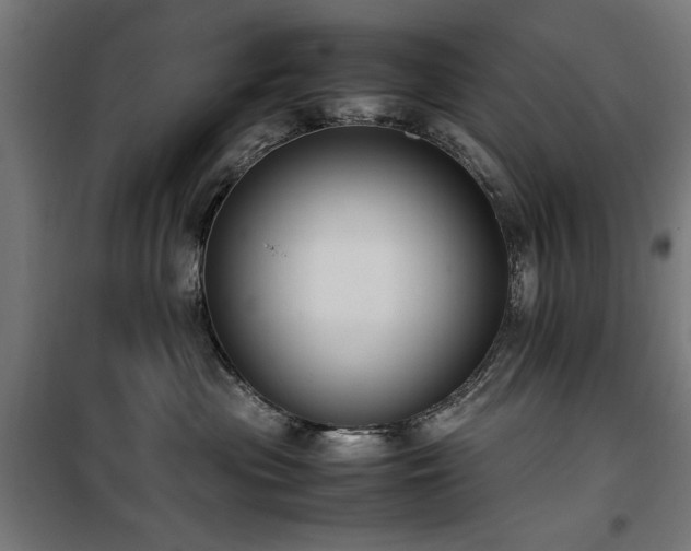 X0000100190477200805301251