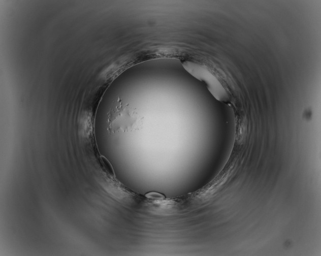 X0000100190478200805301251