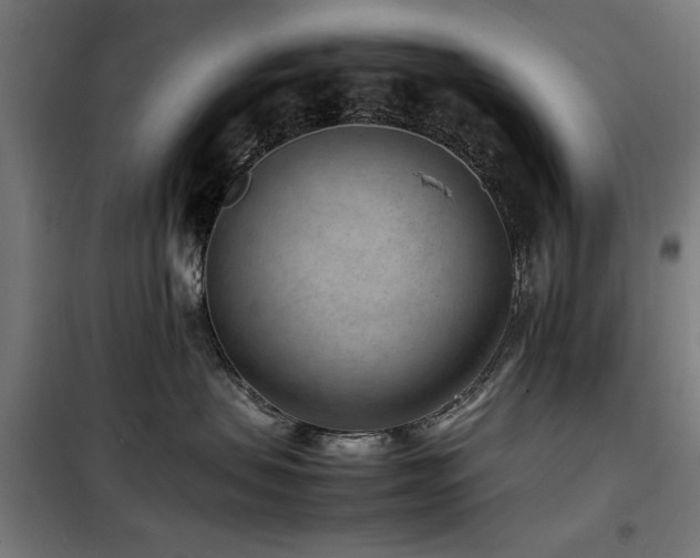 X0000100190479200805301251