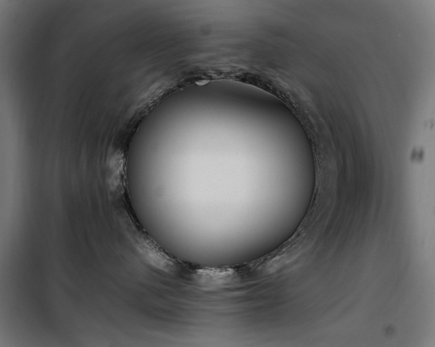 X0000100190480200805301251