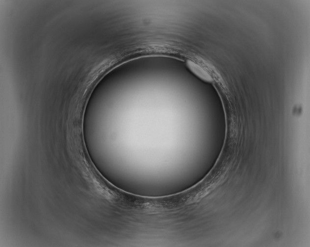 X0000100190481200805301251