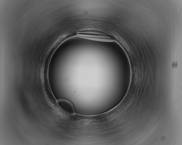 X0000100190482200805301251