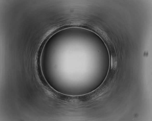 X0000100190483200805301251