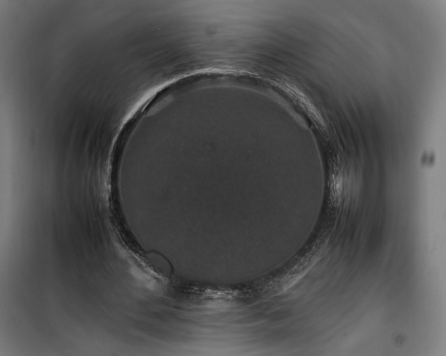 X0000100190484200805301251