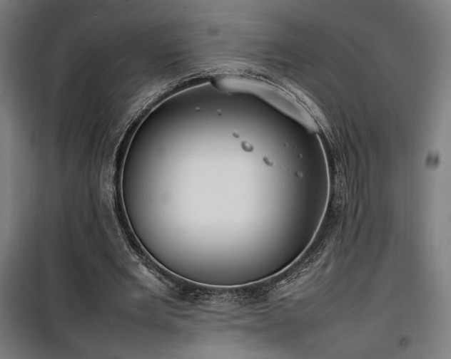 X0000100190485200805301251