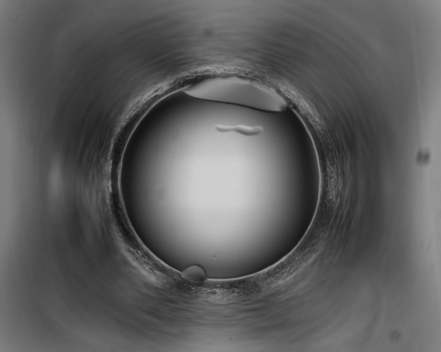 X0000100190486200805301251