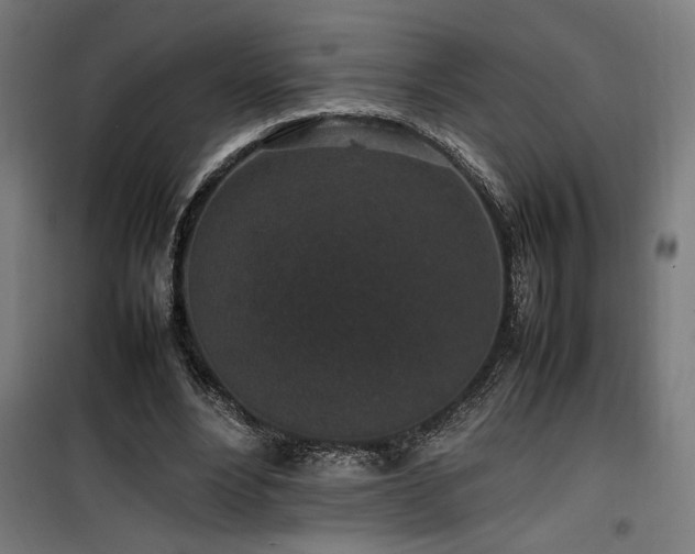 X0000100190488200805301251