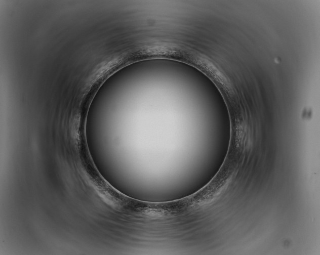 X0000100190490200805301251