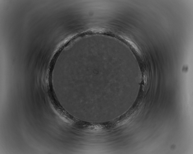 X0000100190492200805301251