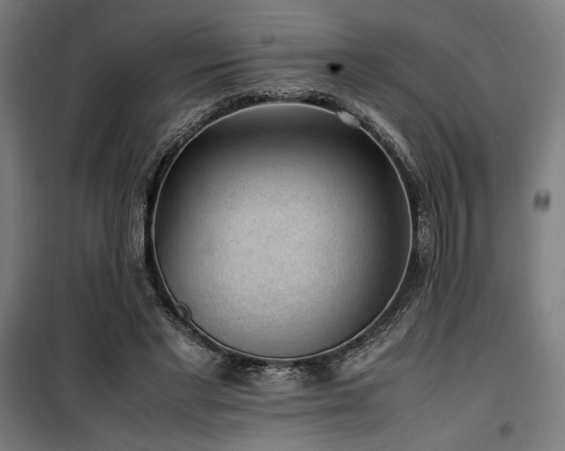 X0000100190493200805301251