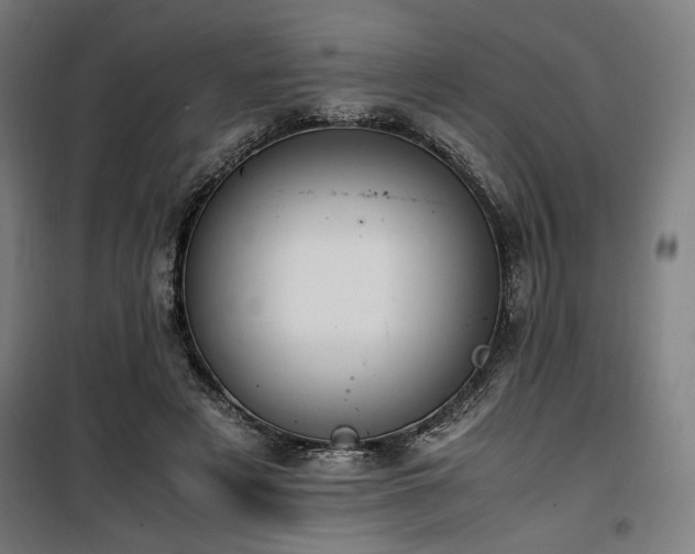 X0000100190497200805301251