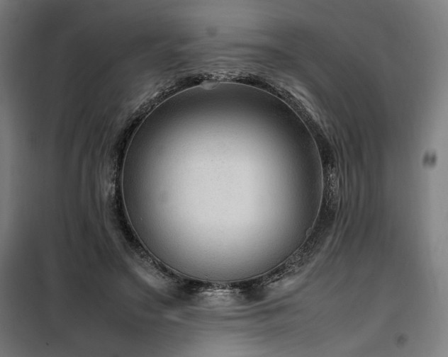 X0000100190499200805301251