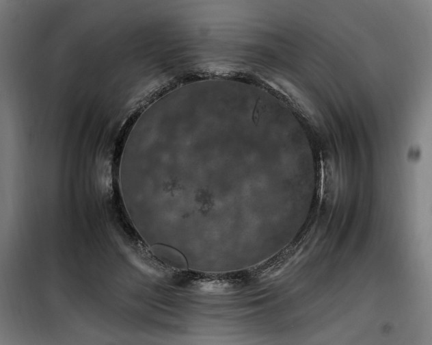 X0000100190500200805301251