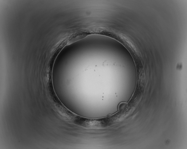 X0000100190501200805301251