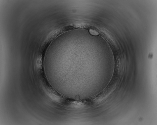X0000100190502200805301251