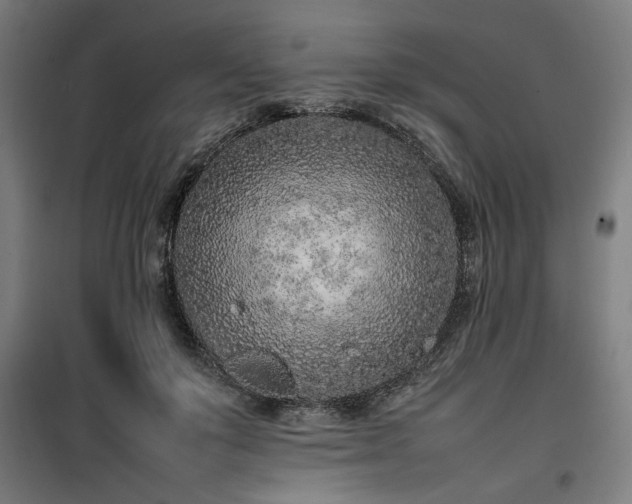 X0000100190503200805301251