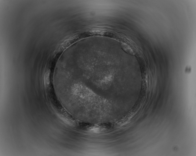 X0000100190504200805301251