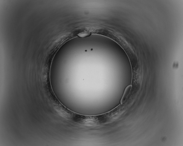 X0000100190505200805301250