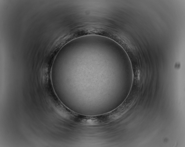 X0000100190506200805301250
