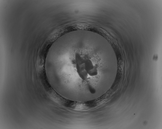 X0000100190507200805301250